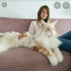 Meet your Posher, Rachael